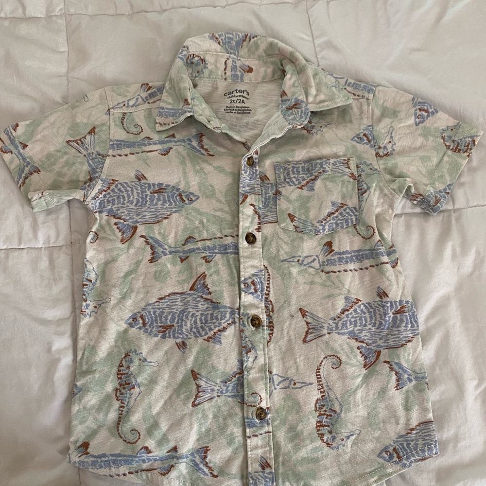 Carter's Cream and Blue Button Down Shirt with Zebra Print
